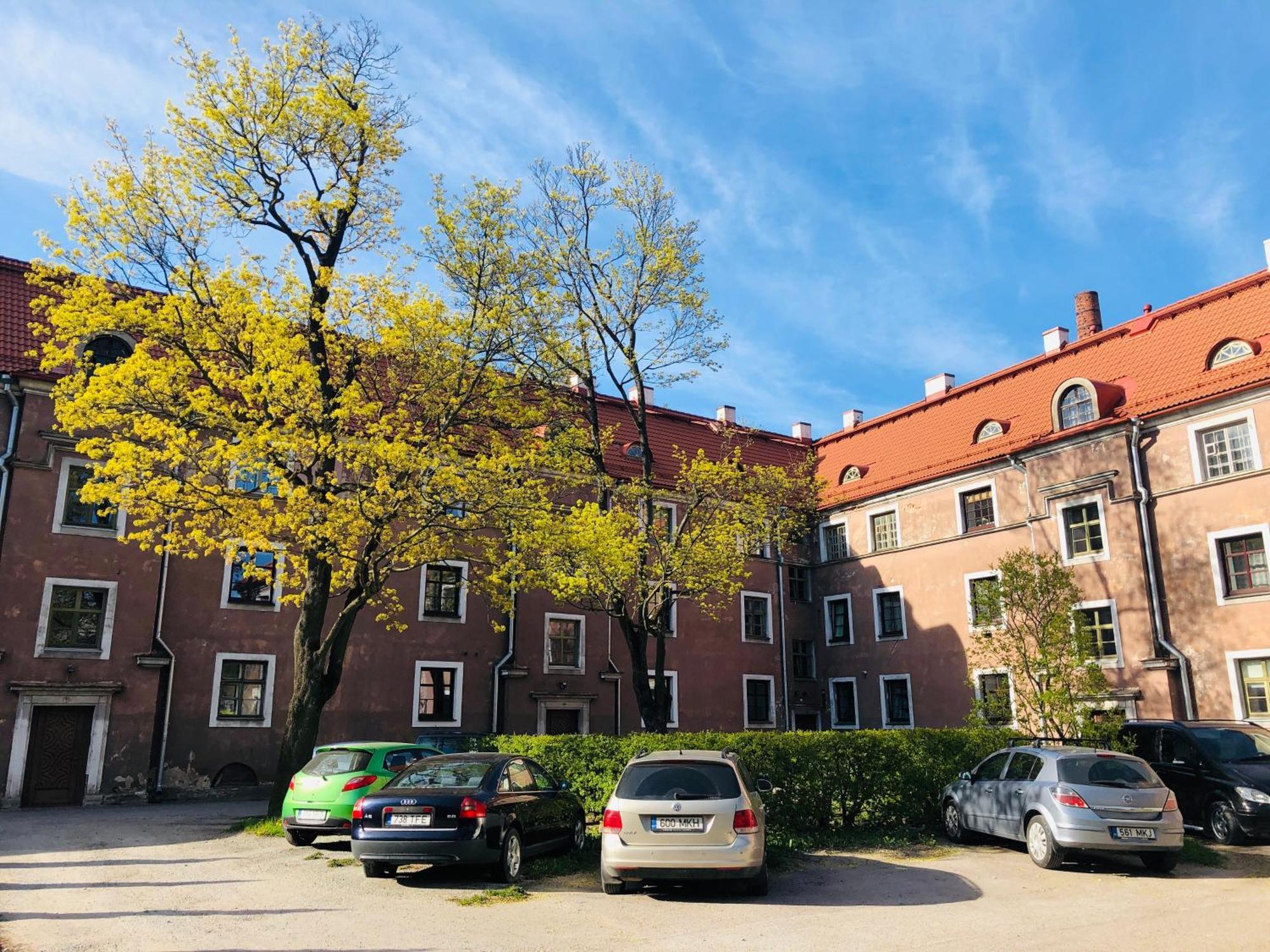 شقة Historic Charm - Cozy Nordic Retreat In Time-Honored Residency تالين المظهر الخارجي الصورة